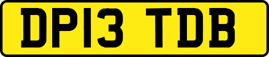 DP13TDB