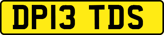 DP13TDS