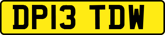 DP13TDW