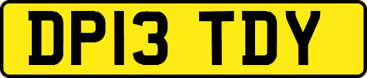 DP13TDY