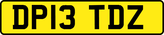 DP13TDZ