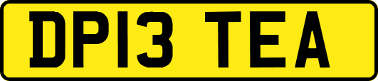 DP13TEA