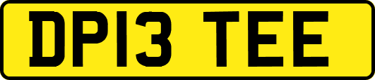 DP13TEE
