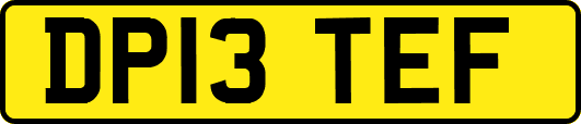 DP13TEF