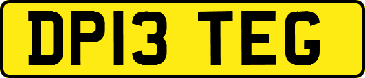 DP13TEG