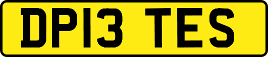 DP13TES