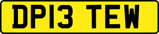 DP13TEW