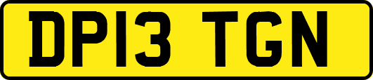 DP13TGN
