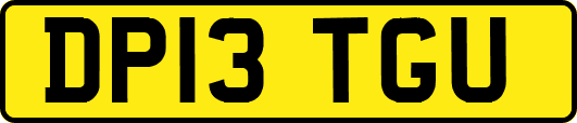 DP13TGU