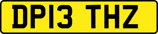 DP13THZ