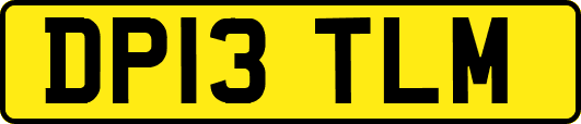 DP13TLM