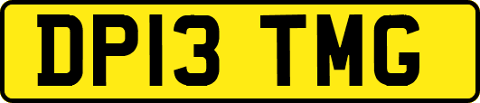 DP13TMG