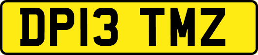 DP13TMZ