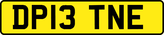 DP13TNE