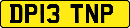 DP13TNP