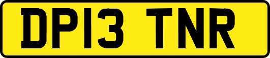 DP13TNR