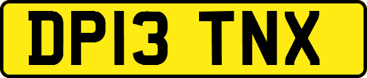 DP13TNX