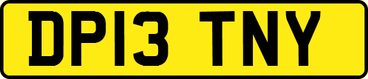 DP13TNY