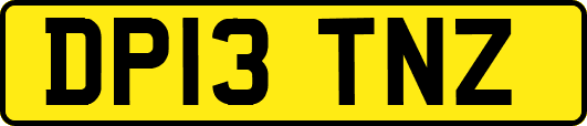 DP13TNZ