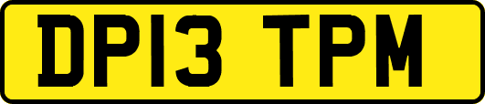 DP13TPM