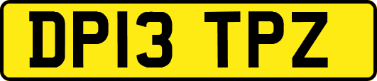 DP13TPZ