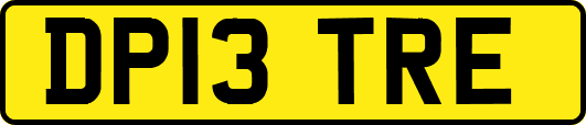 DP13TRE