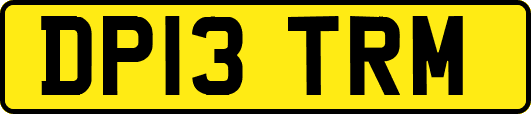 DP13TRM
