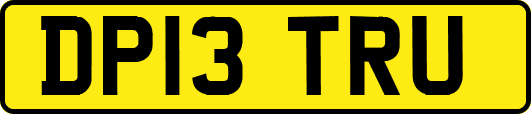 DP13TRU