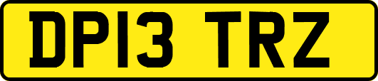 DP13TRZ