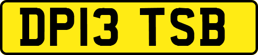 DP13TSB