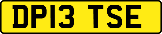 DP13TSE