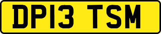 DP13TSM