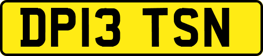DP13TSN