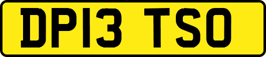 DP13TSO