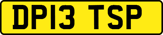 DP13TSP