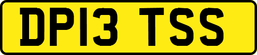 DP13TSS