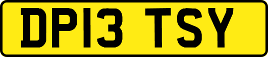 DP13TSY
