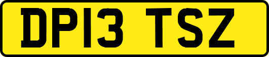 DP13TSZ