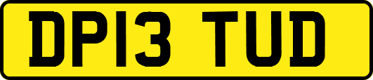 DP13TUD