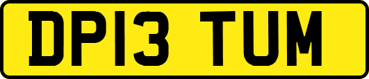 DP13TUM