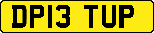DP13TUP