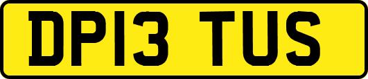 DP13TUS