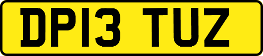 DP13TUZ