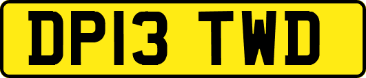 DP13TWD