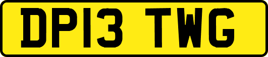 DP13TWG