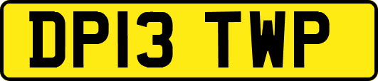 DP13TWP