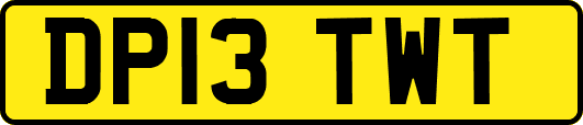 DP13TWT