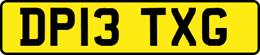 DP13TXG