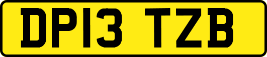 DP13TZB