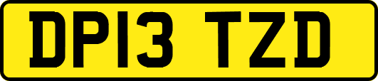 DP13TZD